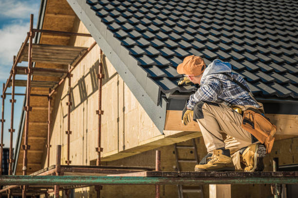 Best Gutter Installation and Repair  in Lemmon, SD